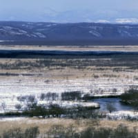 冬の釧路湿原