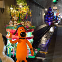 ロマンチックな トンネル内の七夕祭り😲  Memory画像です