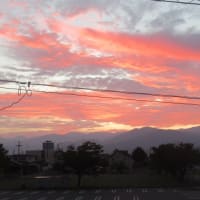 Diario:10.4　　５０年ぶりの同級生と二人飲み会