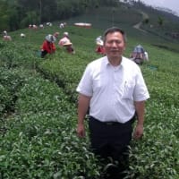 [ 阿里山高山茶 茶葉男 ] 