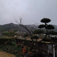 寒い日。