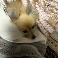 寒いよね