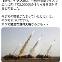 白い花