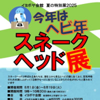 イヨボヤ会館夏の特別展2025　「今年はヘビ年　スネークヘッド展」