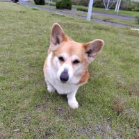 急に痛みが・・・