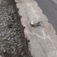 エクステリアもお気軽にどうぞ
