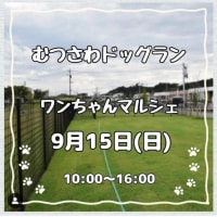 いよいよあす むつさわドックラン ワンちゃんマルシェ 9月15日(日)10:00～16:00 ドックラン無料 入場無料 駐車場無料 