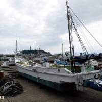 朝市が有名な鎌倉「腰越漁港」を訪ねて！！