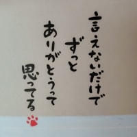 ２０２５年７月＊＊＜喘息＞定期検査