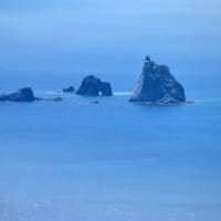 三宅島　その２