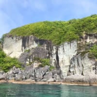 おひさしぶりの毛玉旅⑦🐶（下北半島編）