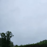 朝空