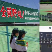 夏の高校野球大阪大会