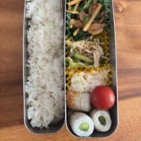 お弁当シリーズ。4月21日