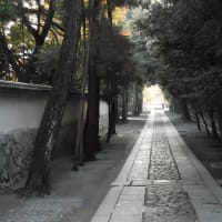 今日の今宮神社と大徳寺