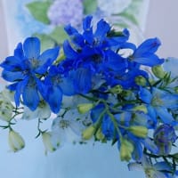 5月の写真教室　　　青い花と花瓶