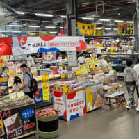 高野龍神スカイラインから南紀白浜　　2025.7.6