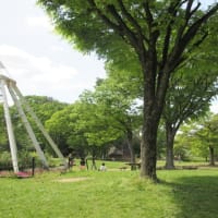 連休中日の名城公園