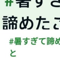 暑すぎて諦めたこと