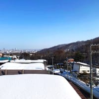 昨日から二日間　快晴　気温プラス10度前後雪どけ進む