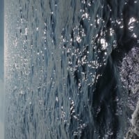 別府北浜ヨットハーバーー深島ー鹿島ー佐多岬港ー別府。二泊三日のクルージング、全行程150マイル