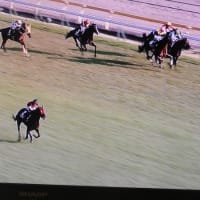 今朝のワイドショー