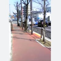 我が相棒