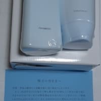 シマエナガ