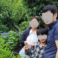 アジサイが奇麗だね　２５．６/１４