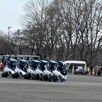 「自衛隊熊谷基地桜まつり」