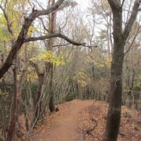 加茂勢山（通称ポンポン山）