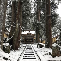 大本山 永平寺。一之瀬君枝です。