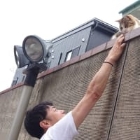 夏至の恩恵で走れましたぁ