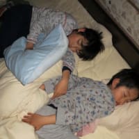 ２０年毎日ブログ更新