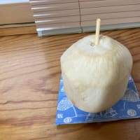 ココナッツ🥥