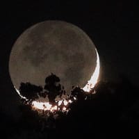 昨夜での三日月と地球照、三日月と木星　（４月）