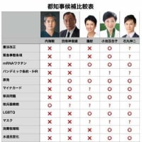 東京都知事選挙について