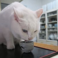 一杯飲み屋