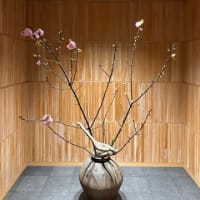 桜の咲く季節、とらや赤坂本店の喫茶室にて。