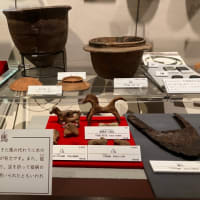 山梨県　甲府市　縄文の旅３