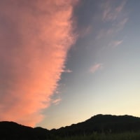 半分
