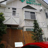 会いたいな・・・　月