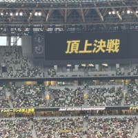 日本陸上選手権　観戦記