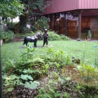 「司修展」ちひろ美術館にて