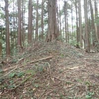 天王山砦 美濃　木曽川の渡河地点を見下ろす武田氏によって築かれた単郭の拠点