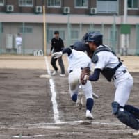 阿波の国を訪れて