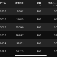 10km走れた〜！