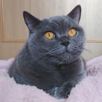 更新のお知らせ（5月16日）