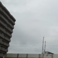 今日の博多３３２　【マスクの負け】