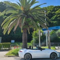 シートレール,ミラーのチェック